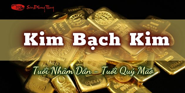 Kim Bạch Kim (1962 - 1963) có điểm phong thủy nào đặc biệt?