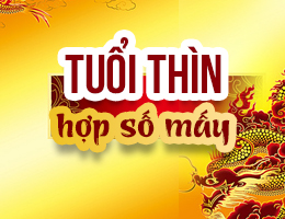 Tuổi Thìn hợp số mấy? Tìm hiểu con số may mắn của tuổi Thìn đầy đủ