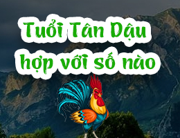 Lý giải tuổi Tân Dậu 1981 hợp với số nào chuẩn xác nhất?