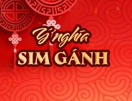 Số gánh là gì? Tìm hiểu về sim gánh đảo