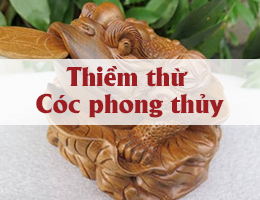 Cóc Thiềm Thừ ngậm tiền phong thủy