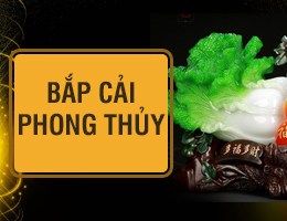 Bắp Cải Phong Thủy