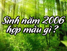 Xem tuổi Bính Tuất 2006 hợp màu gì cùng chuyên gia phong thủy