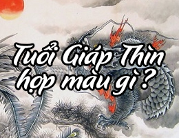 Sinh năm 1964 hợp màu gì? Kỵ màu gì?