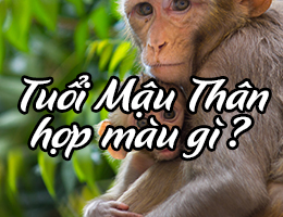 Sinh năm 1968 tuổi Mậu Thân hợp màu gì & kỵ màu gì?