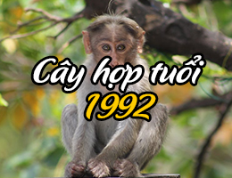 Sinh năm 1992 tuổi Nhâm Thân hợp cây gì và kỵ cây nào?