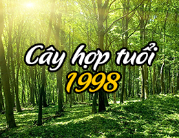 Sinh năm 1998 hợp cây gì và kỵ cây nào?