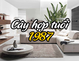 Cây hợp mệnh Hỏa 1987 là loài cây nào?