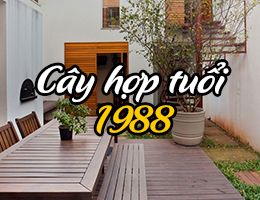 Cây hợp mệnh Mộc 1988 là cây gì?