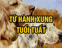 Tứ hành xung tuổi Tuất