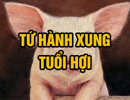 Tứ hành xung tuổi Hợi