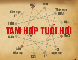 Tam hợp tuổi Hợi