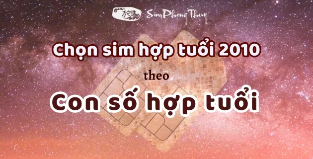 chọn sim hợp tuổi 2010