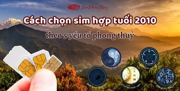 cách chọn sim hợp tuổi 2010