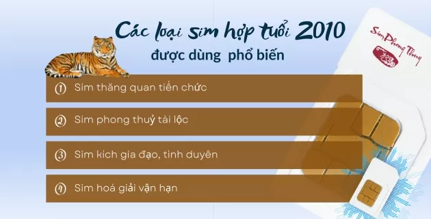 các loại sim hợp tuổi 2010