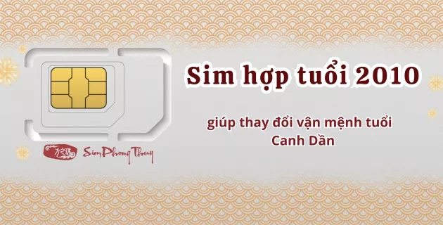 sim hợp tuổi 2010