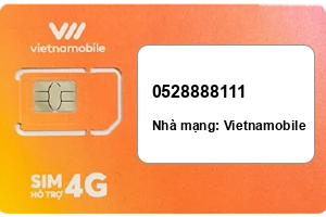 Sim Vietnamobile 0528888111 