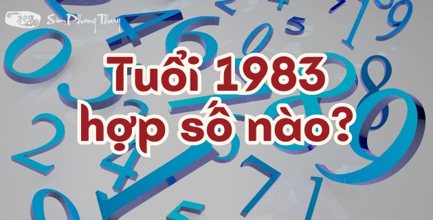 Đâu là con số hợp mệnh Thủy 1983? Cách dùng số hợp tuổi Quý Hợi