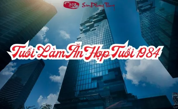 1984 hop lam an voi tuoi nao