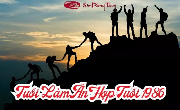 1986 hop lam an voi tuoi nao