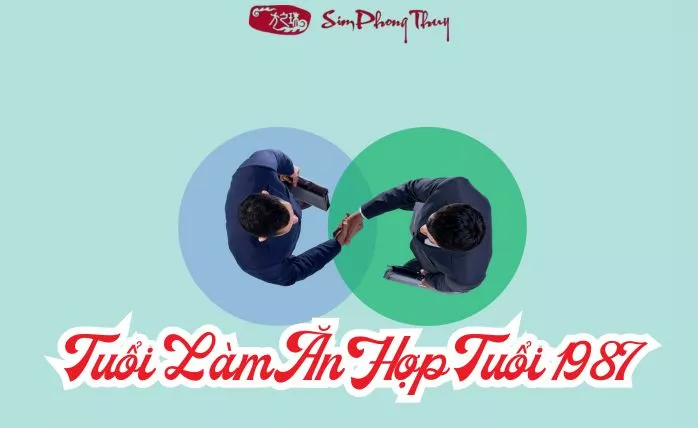 1987 hop lam an voi tuoi nao