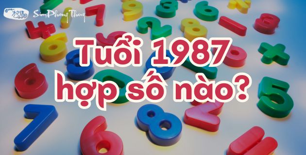 1987 hợp số nào? Luận giải ý nghĩa con số hợp tuổi Đinh Mão