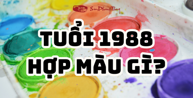 #1988 mệnh gì hợp màu gì? Chọn màu sơn nhà, màu xe,.. hợp tuổi