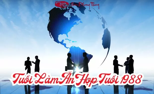 1988 hop lam an voi tuoi nao