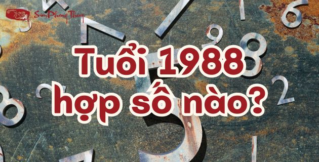 [Giải đáp] Tuổi Mậu Thìn 1988 hợp số nào Khai Mở Tài Vận