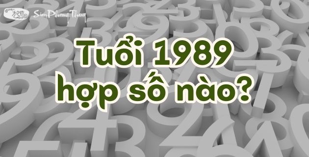 Khám phá 1989 hợp số nào: Chọn con số may mắn, cải biến vận số