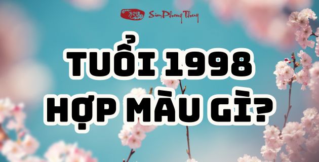 Nam nữ Mậu Dần hợp màu gì? Chọn màu xe hợp tuổi 1998?