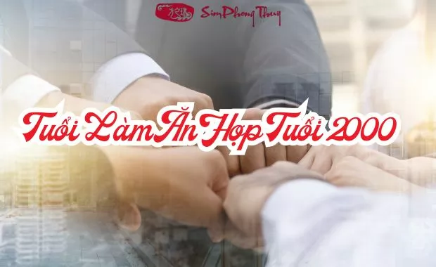 2000 hop lam an voi tuoi nao