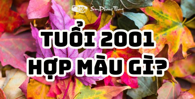 Sinh năm 2001 tuổi Tân Tỵ hợp màu gì năm 2024 chuẩn phong thủy