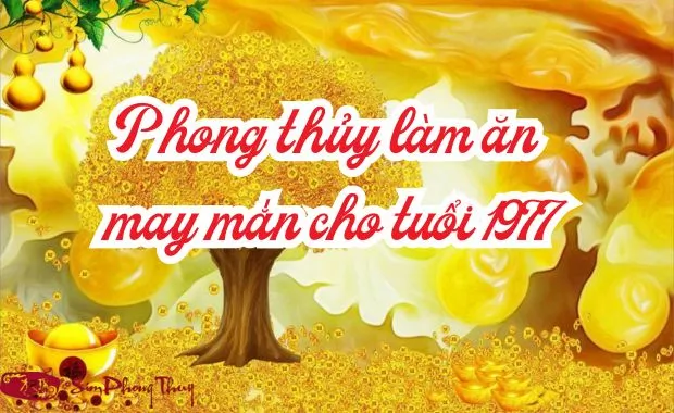 phong thuy may man tuoi 1977