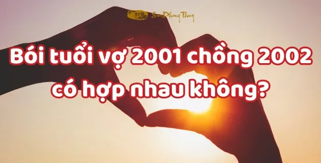 tuổi tân tỵ và nhâm ngọ có hợp nhau không