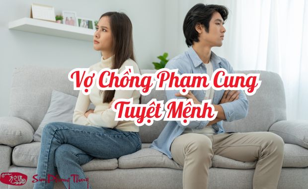 Sự thật vợ chồng phạm cung Tuyệt Mệnh có chết không?