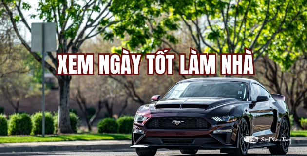 xem ngày mua xe